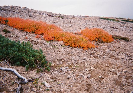 d0177849_13504810.jpg
