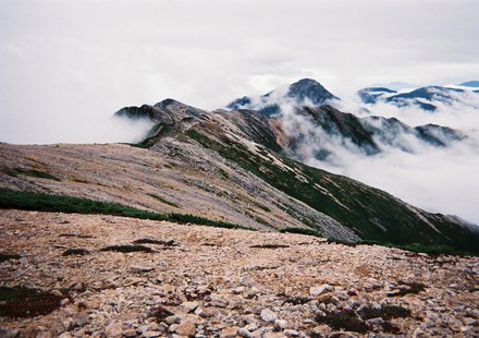 d0177849_1351539.jpg