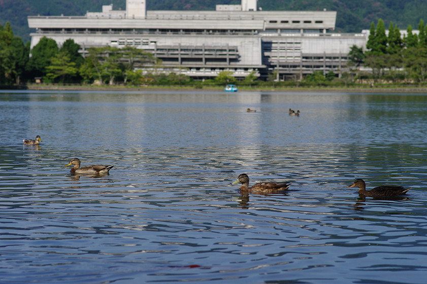 f0152550_22255347.jpg