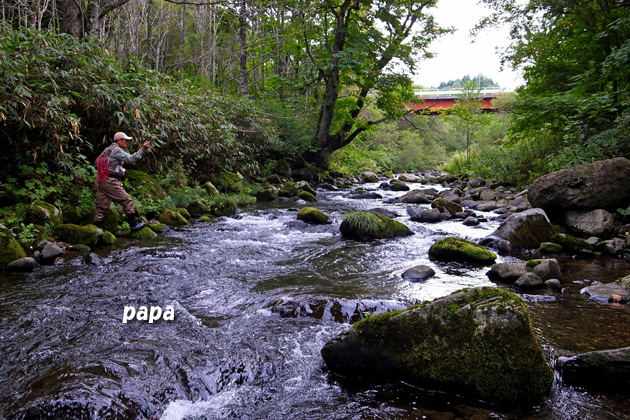 d0155257_2273773.jpg