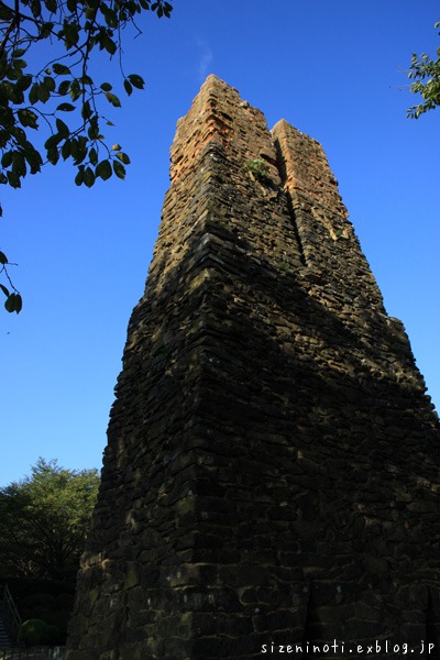 f0147858_17291227.jpg
