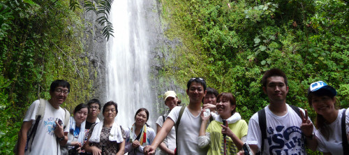 MANOA FALLS TRAIL_a0132260_1527183.jpg