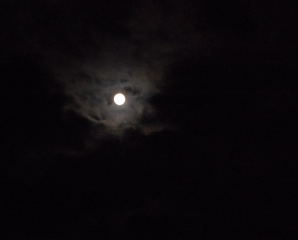 c0160161_6181360.jpg