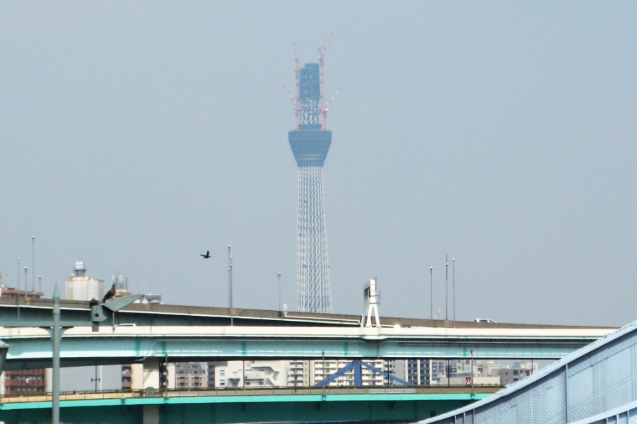 f0036670_11161316.jpg
