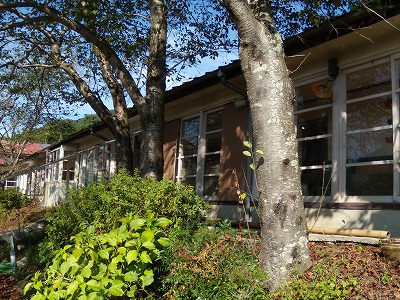 ミカノハラ陶工舎_d0165772_2131180.jpg