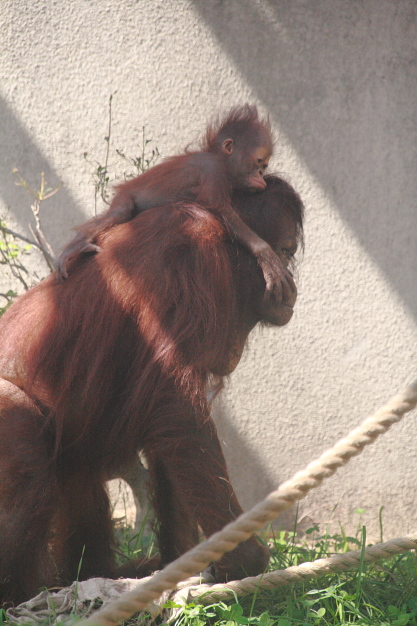 e0199776_15352410.jpg