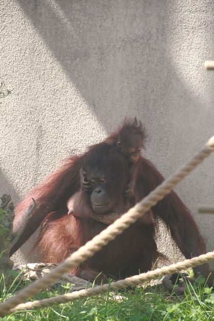 e0199776_15381855.jpg