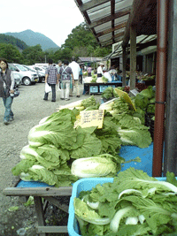 b0090883_2124114.gif