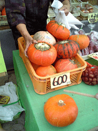 b0090883_21283056.gif