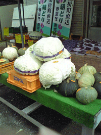 b0090883_21333750.gif