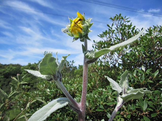 b0182884_032864.jpg