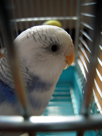 d0131293_14575693.jpg