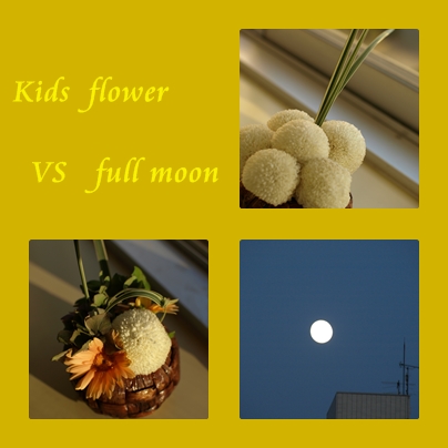 VS 満月_d0144095_1983723.jpg