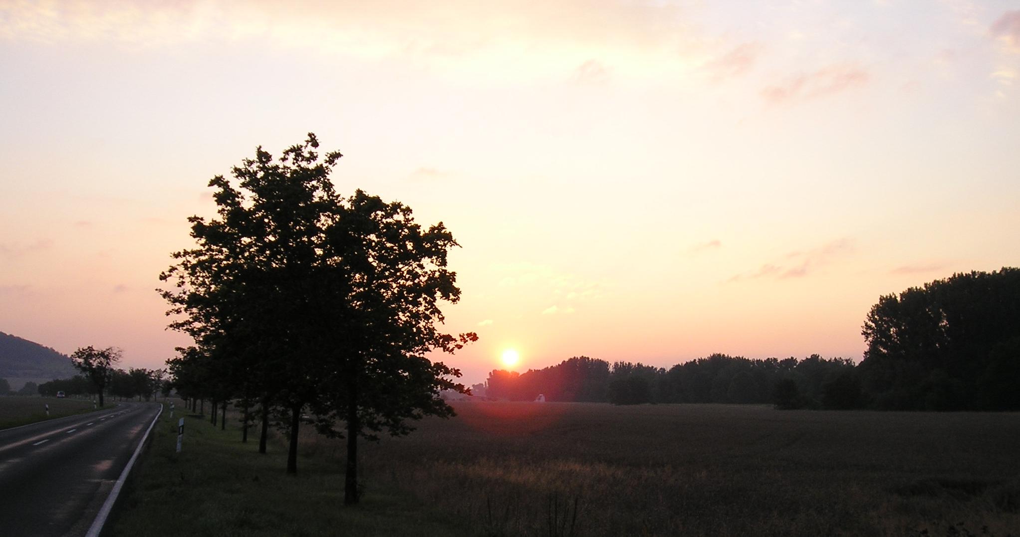 b0206899_36175.jpg