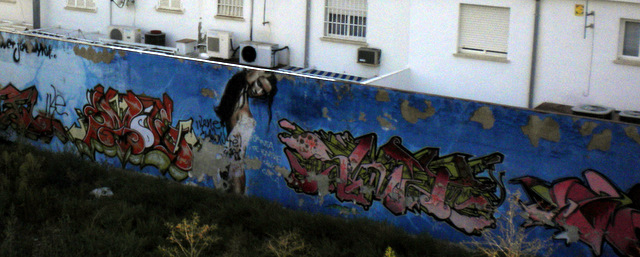 e0061699_74447.jpg