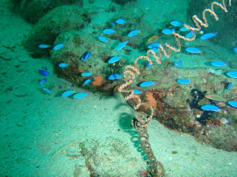e0115199_15553064.jpg