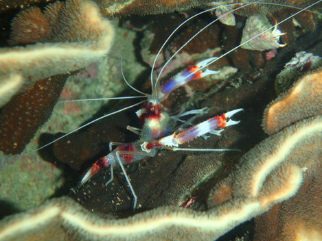 e0115199_18405054.jpg