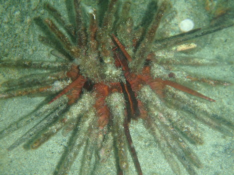 e0115199_1846507.jpg