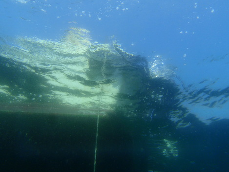 e0115199_2019635.jpg