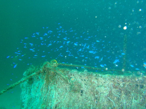 e0115199_20375827.jpg
