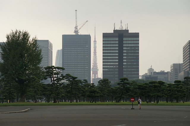 六本木からスカイツリーを目指して 秋桜のブログ