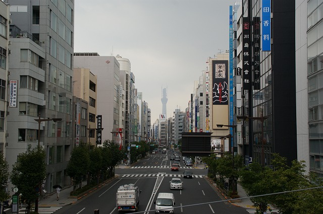 六本木からスカイツリーを目指して 秋桜のブログ