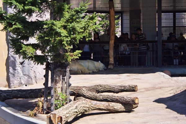 c0043403_22195578.jpg