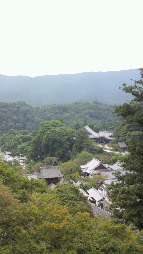 e0142809_22412549.jpg