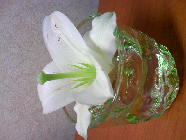 c0212410_214177.jpg