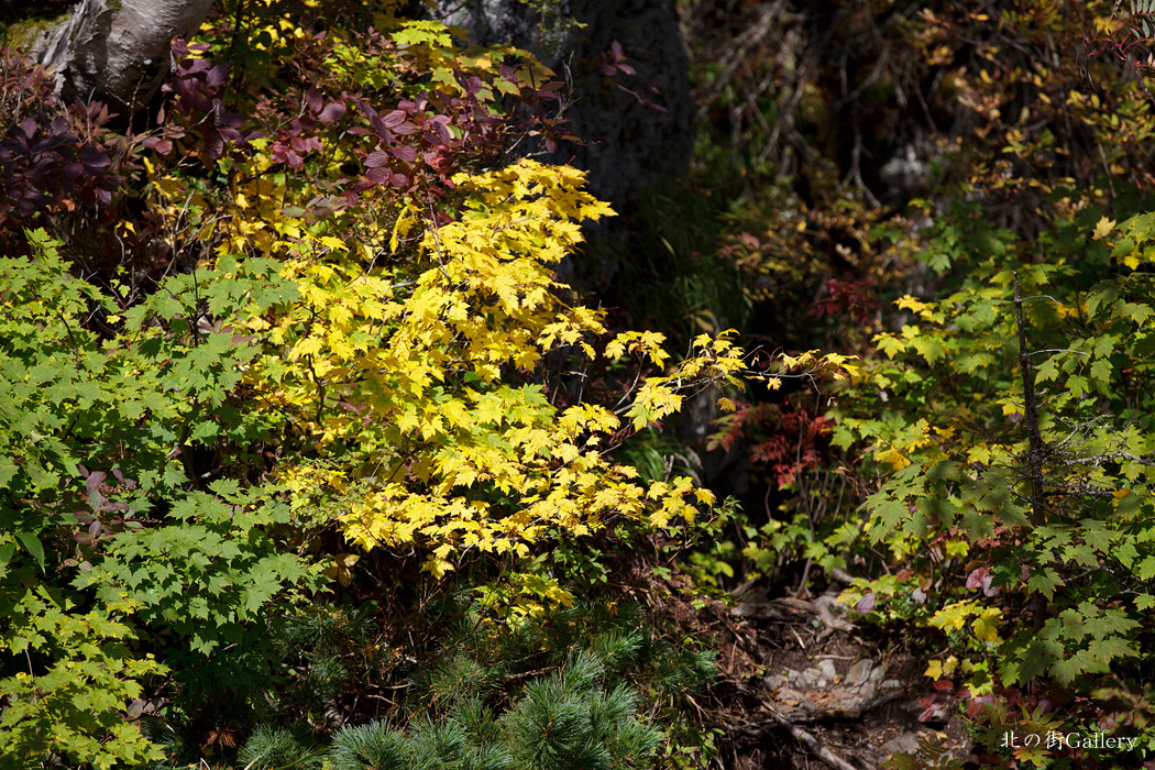 c0073613_0142041.jpg