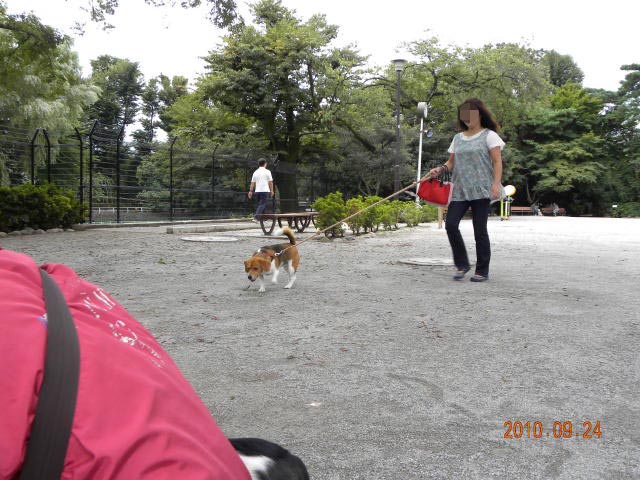 b0203018_16282262.jpg