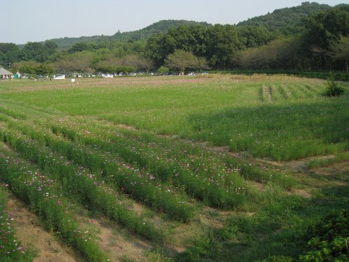 e0117318_061572.jpg