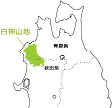e0188325_8381639.jpg
