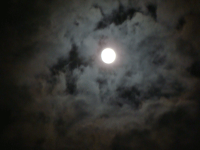 b0176027_21395488.gif
