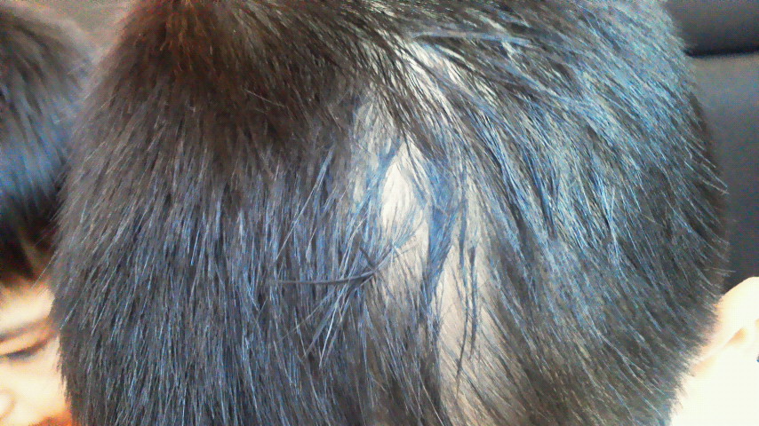 d0180029_072489.jpg