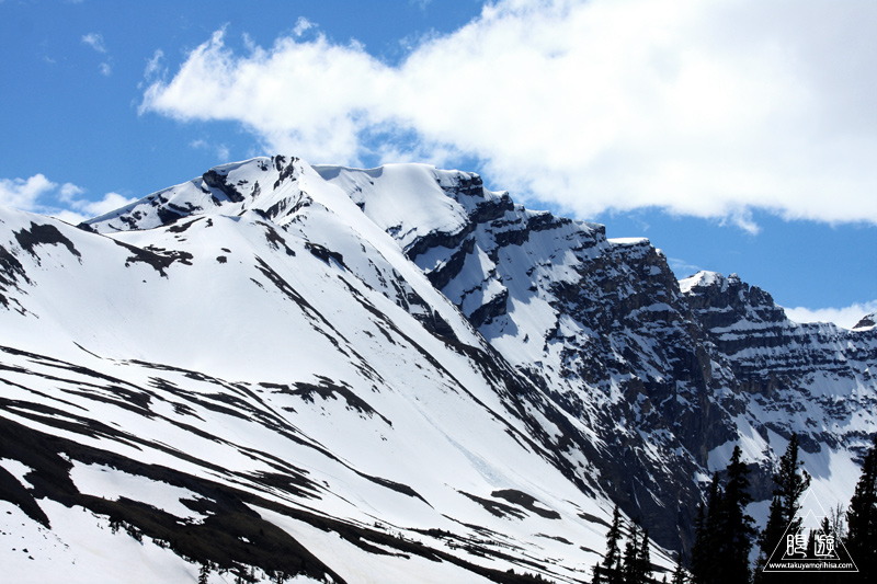 065 Columbia Icefield ~氷河の上を歩く~_c0211532_11331978.jpg
