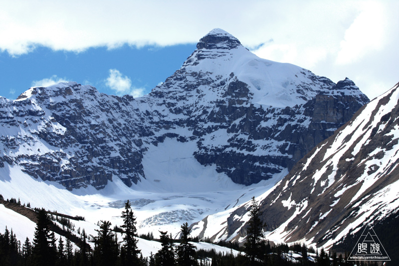 065 Columbia Icefield ~氷河の上を歩く~_c0211532_1136096.jpg