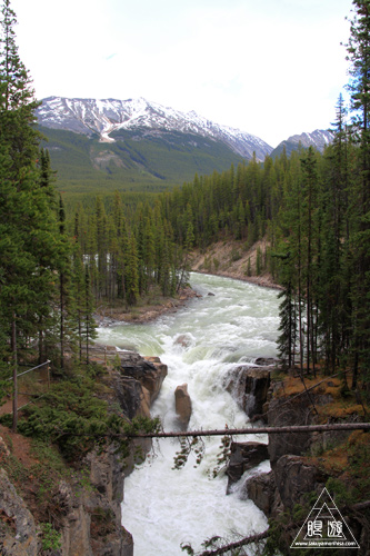065 Columbia Icefield ~氷河の上を歩く~_c0211532_130538.jpg