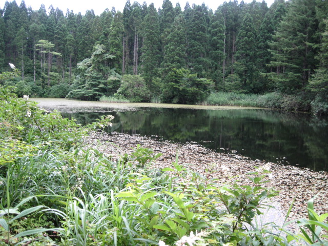 宮崎鉄魚愛好会　鳴子の獅子の巻　2009/08/01_f0214235_21485884.jpg