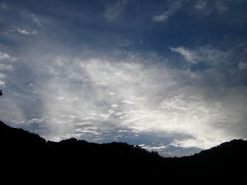 a0054240_21511384.jpg