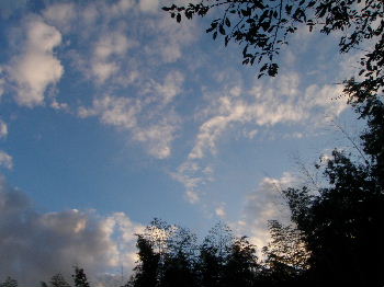 a0054240_2151438.jpg
