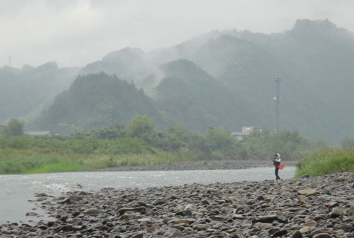 大雨のせいで、藁科川から興津川へハシゴするも…(;´ー｀)_a0056140_11322255.jpg