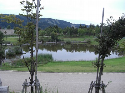 夕方の八色の森公園_a0084753_17183258.jpg