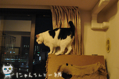 運動が必要な子に限って_e0031853_2123911.jpg