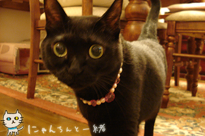 運動が必要な子に限って_e0031853_2125417.jpg