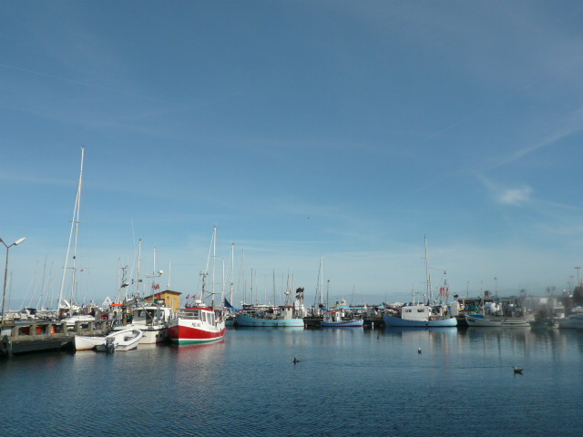 b0109054_22314972.jpg