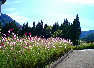 d0006756_10123669.jpg