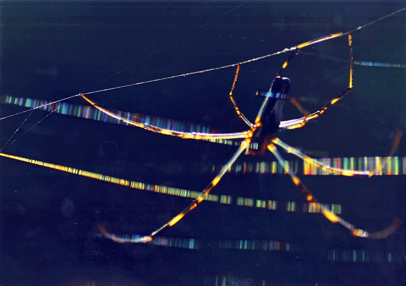 e0173358_20455769.jpg