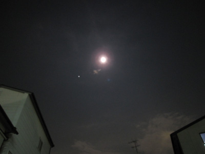 e0068460_169710.jpg
