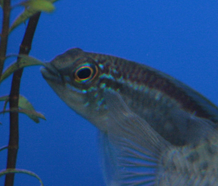 a0162263_23102947.jpg